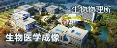 2025年11月13日