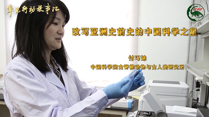 展示新时代cctv5节目直播手机版登
